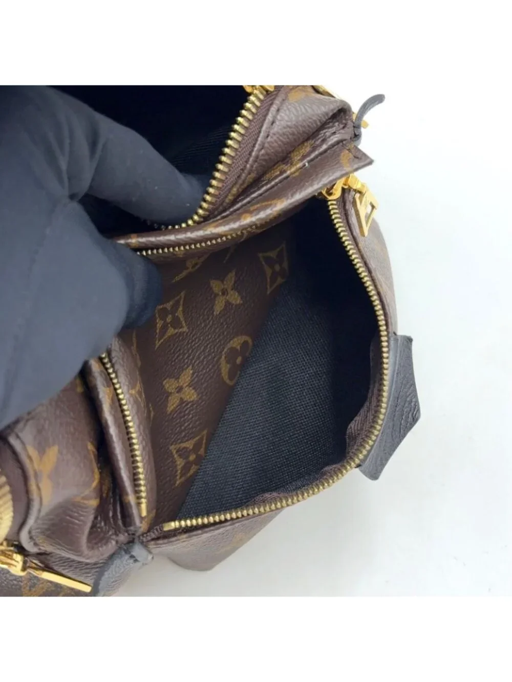 Louis Vuitton Palm Springs PM Monogram Leather